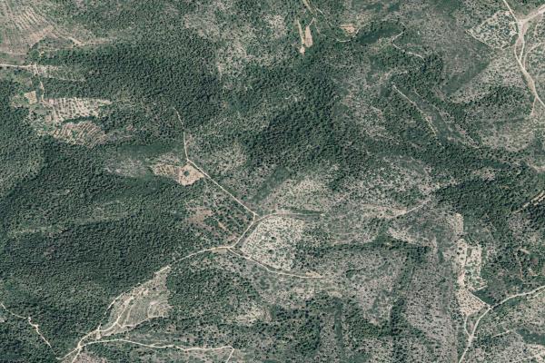 Castellón/Castelló