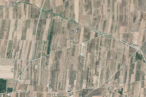 Castellón/Castelló