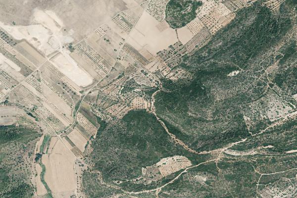 Castellón/Castelló