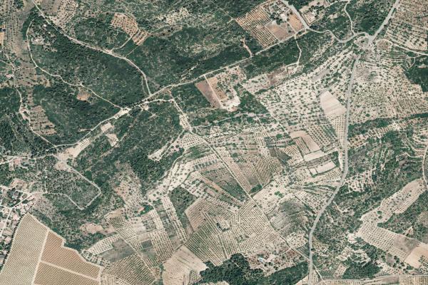 Castellón/Castelló