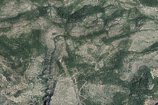 Castellón/Castelló