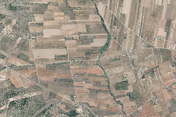 Castellón/Castelló