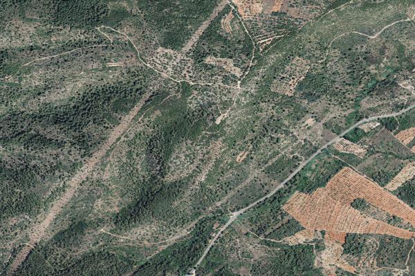 Castellón/Castelló