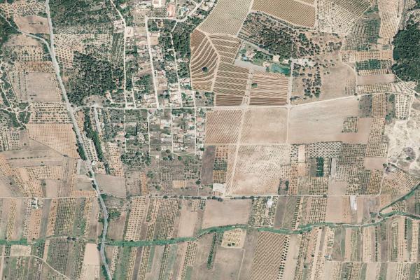 Castellón/Castelló