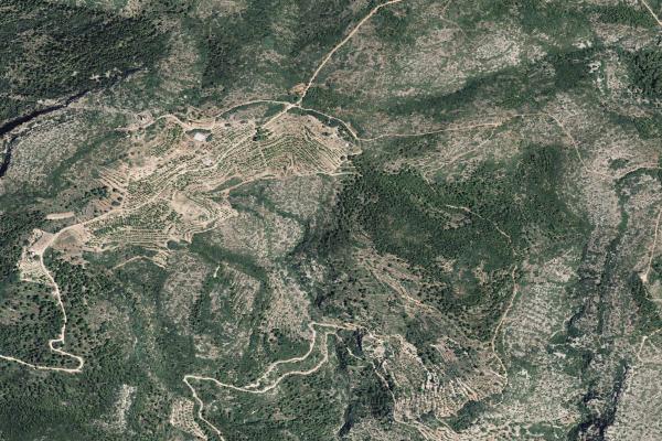 Castellón/Castelló