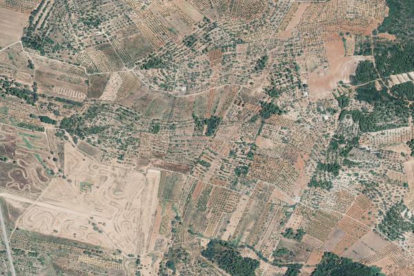 Castellón/Castelló