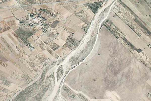 Castellón/Castelló