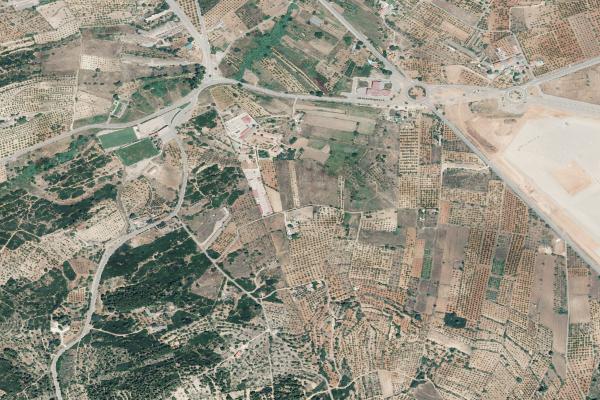 Castellón/Castelló