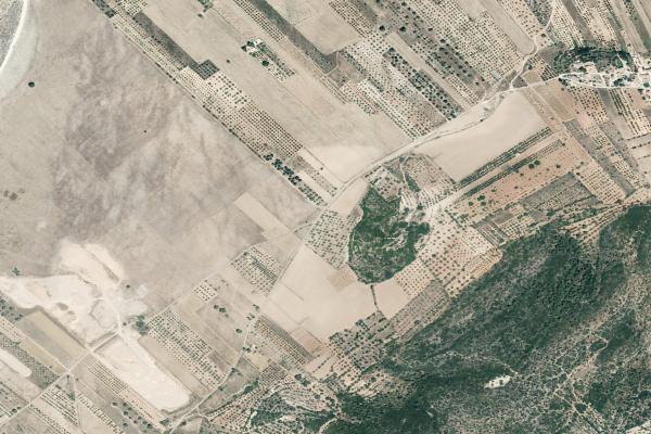 Castellón/Castelló