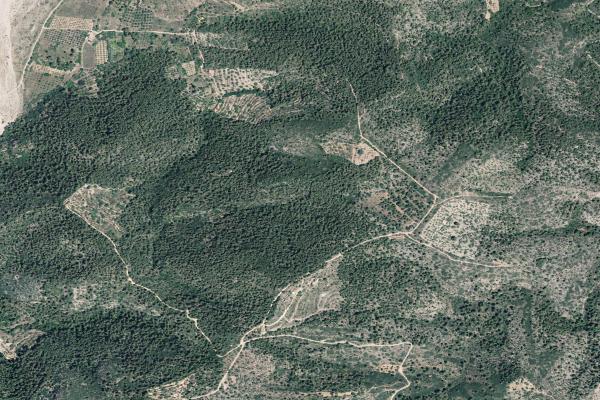 Castellón/Castelló