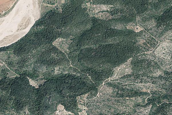 Castellón/Castelló