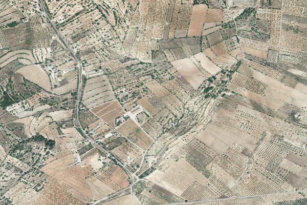 Castellón/Castelló