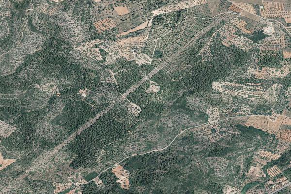 Castellón/Castelló