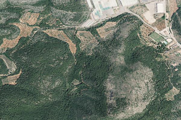 Castellón/Castelló