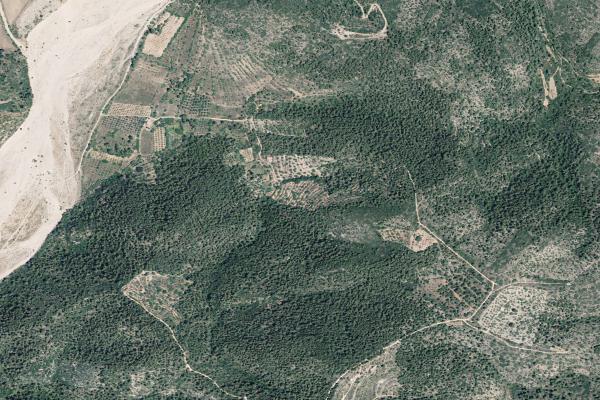 Castellón/Castelló