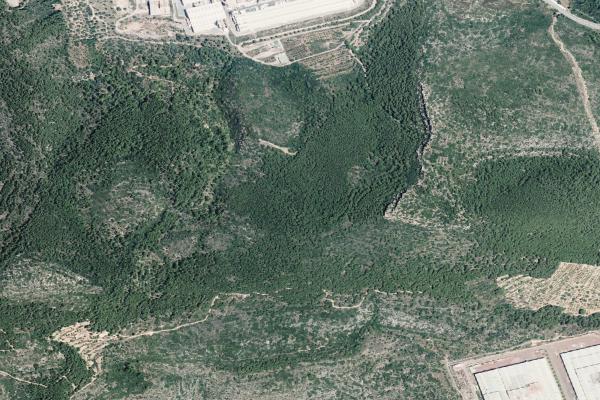 Castellón/Castelló