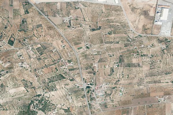 Castellón/Castelló