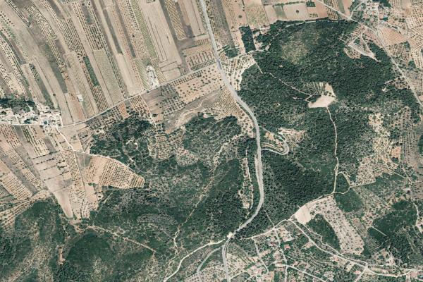 Castellón/Castelló