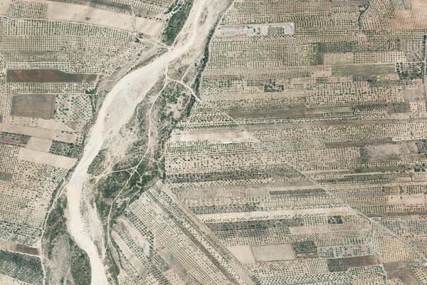 Castellón/Castelló