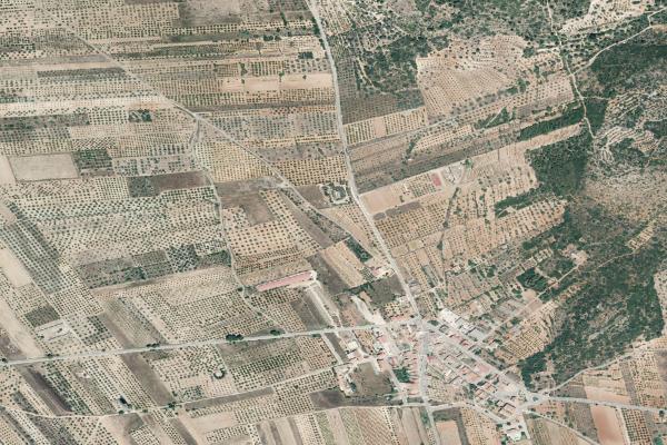 Castellón/Castelló