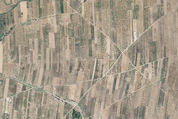 Castellón/Castelló