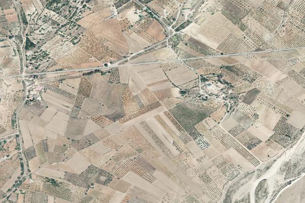 Castellón/Castelló