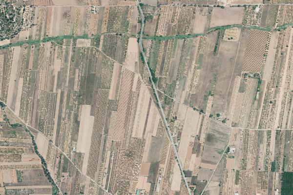 Castellón/Castelló