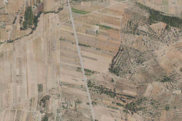 Castellón/Castelló