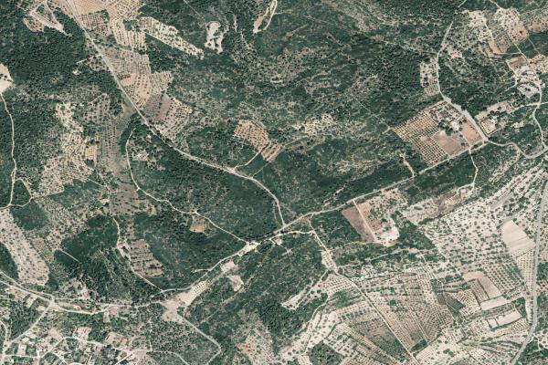 Castellón/Castelló