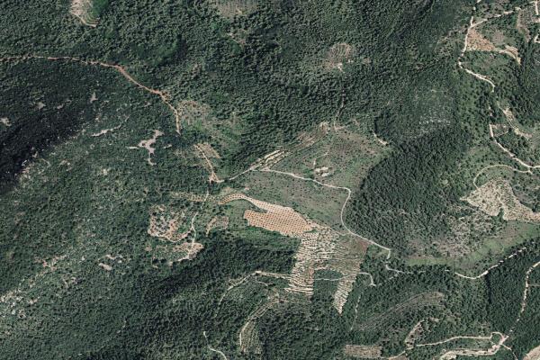 Castellón/Castelló