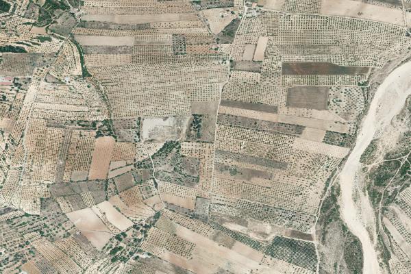 Castellón/Castelló