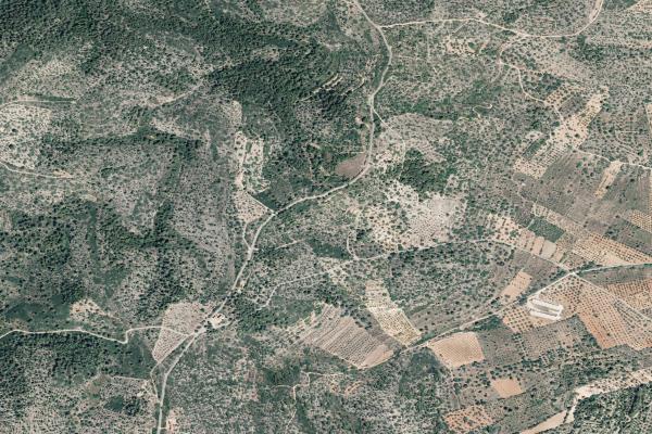 Castellón/Castelló