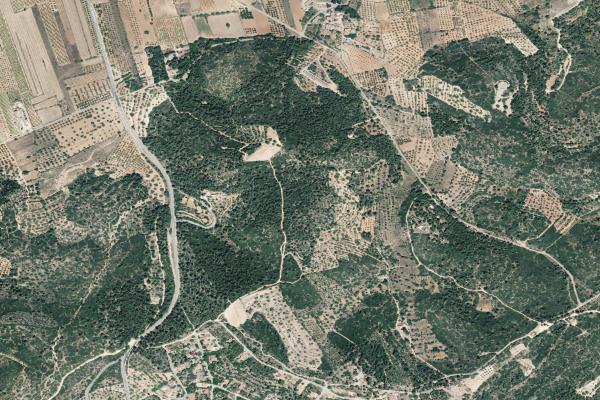 Castellón/Castelló