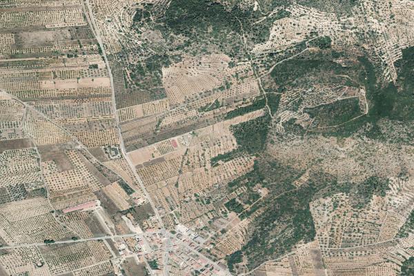 Castellón/Castelló