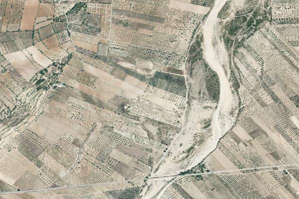 Castellón/Castelló