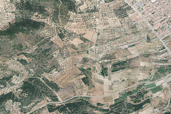 Castellón/Castelló