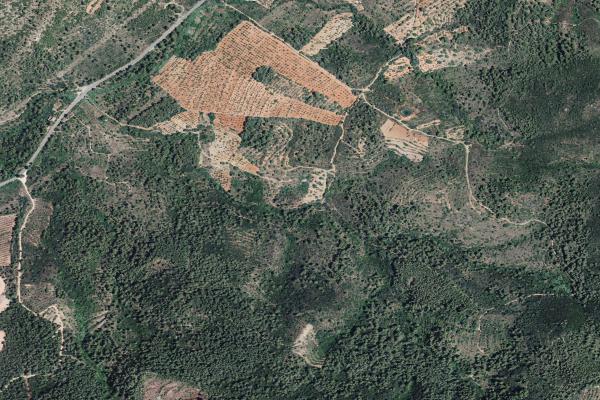 Castellón/Castelló