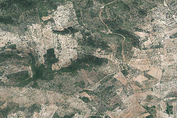 Castellón/Castelló