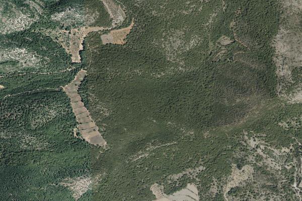 Castellón/Castelló