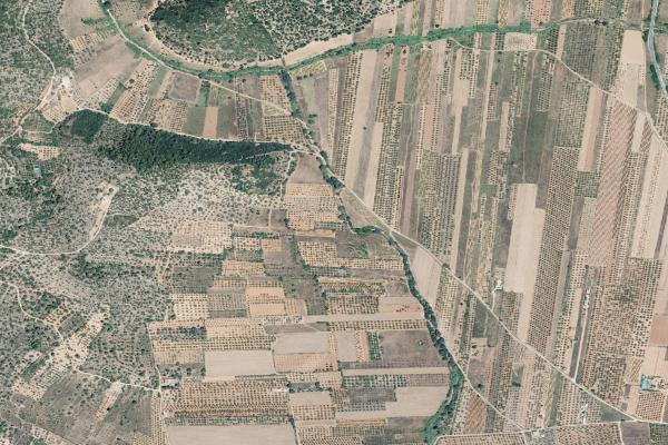 Castellón/Castelló