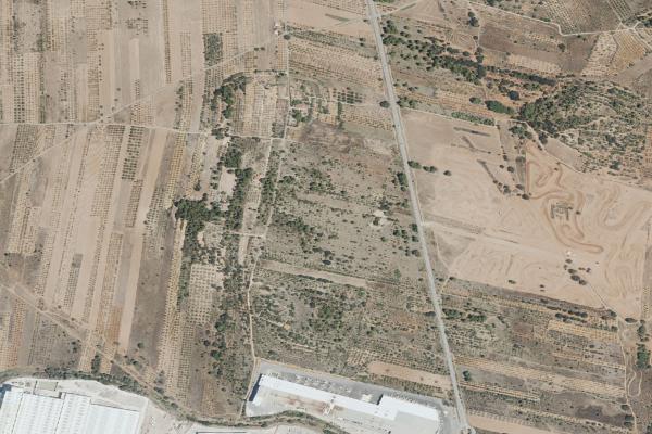 Castellón/Castelló