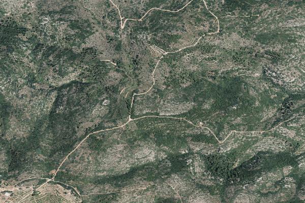 Castellón/Castelló