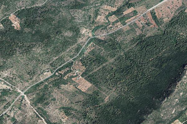 Castellón/Castelló