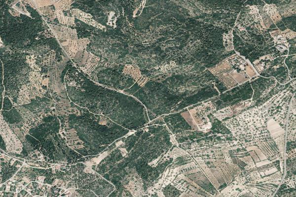 Castellón/Castelló