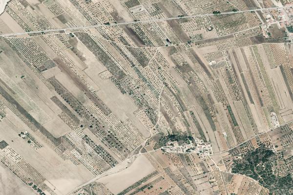 Castellón/Castelló