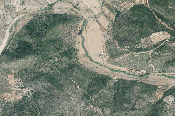 Castellón/Castelló