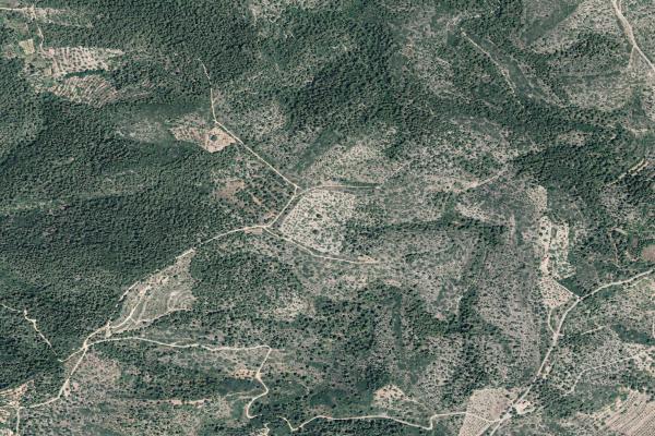 Castellón/Castelló