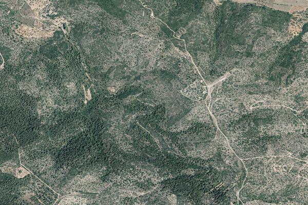 Castellón/Castelló