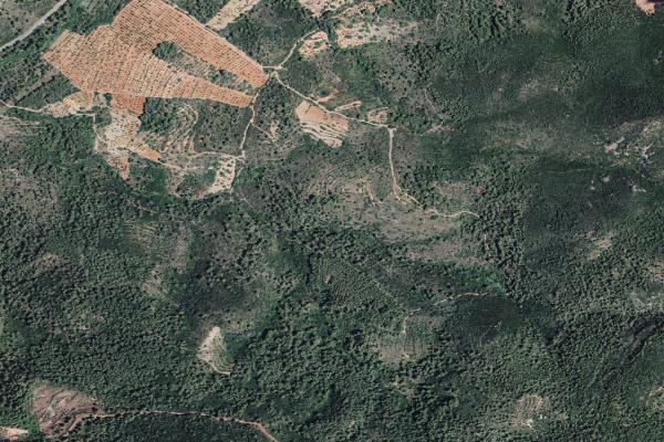 Castellón/Castelló