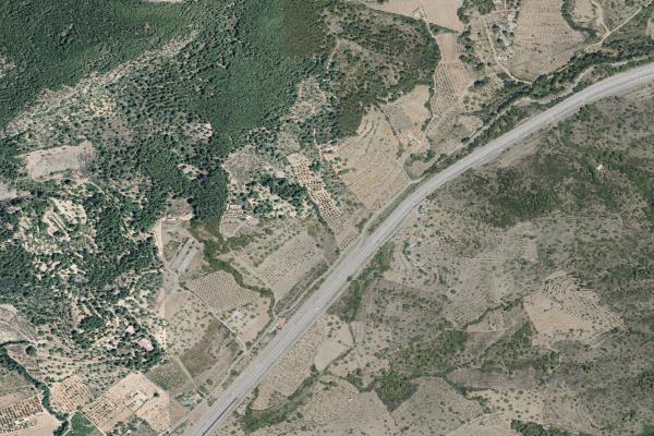 Castellón/Castelló